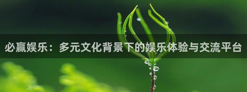 优游国际官网客服电话：必赢娱乐：多元文化背景下的娱乐体验与交流平台