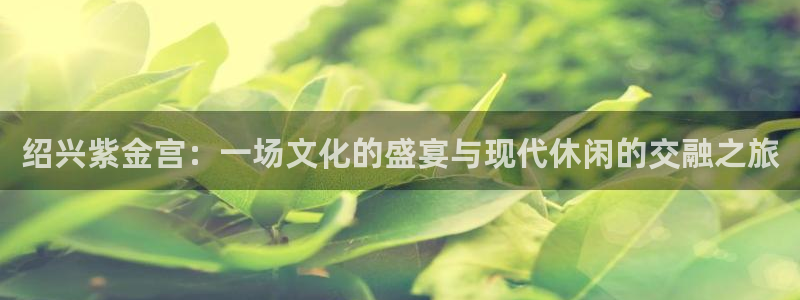 优游国际官网客服电话：绍兴紫金宫：一场文化的盛宴与现代休闲的交融之旅