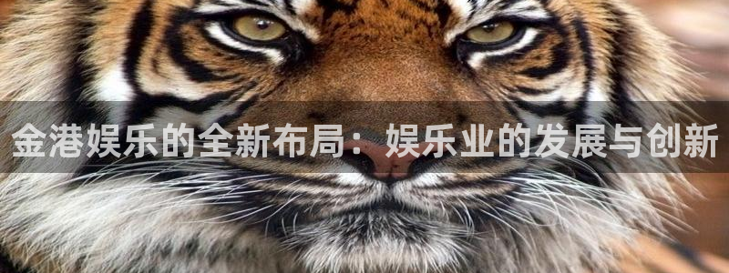 优游国际官网：金港娱乐的全新布局：娱乐业的发展与创新