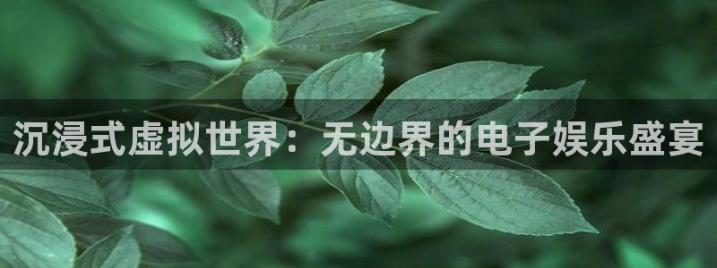 优游国际官网：沉浸式虚拟世界：无边界的电子娱乐盛宴