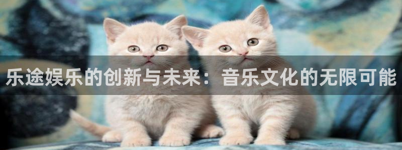 优游国际官网：乐途娱乐的创新与未来：音乐文化的无限可能