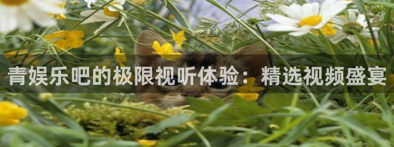优游国际官网下载：青娱乐吧的极限视听体验：精选视频盛宴