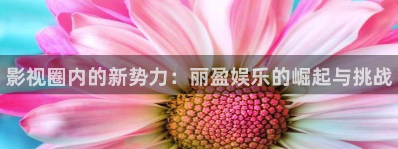 优游国际官网首页：影视圈内的新势力：丽盈娱乐的崛起与挑战