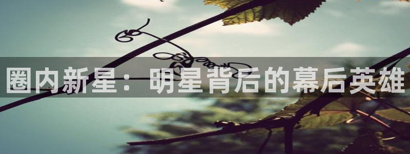 优游国际官网首页：圈内新星：明星背后的幕后英雄